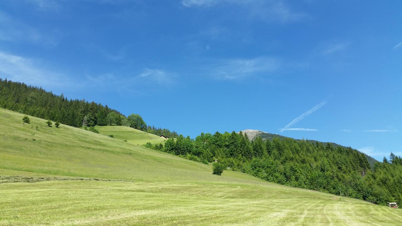 Auszeit Chalets Bschlabs Экстерьер фото