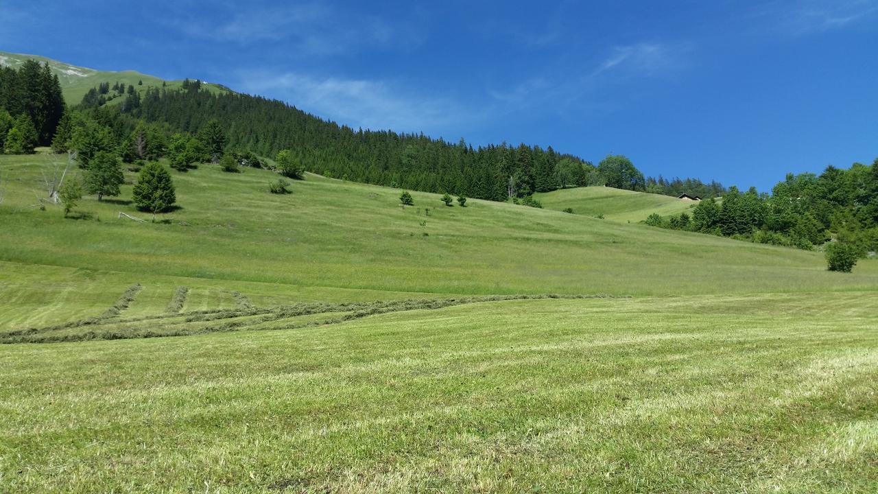 Auszeit Chalets Bschlabs Экстерьер фото